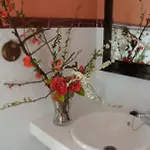Rural El Algaire Otel