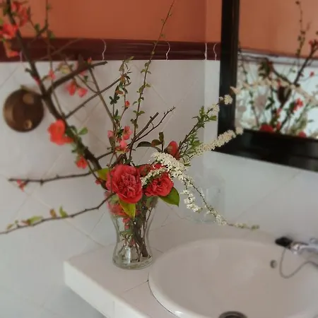 Rural El Algaire Hotel