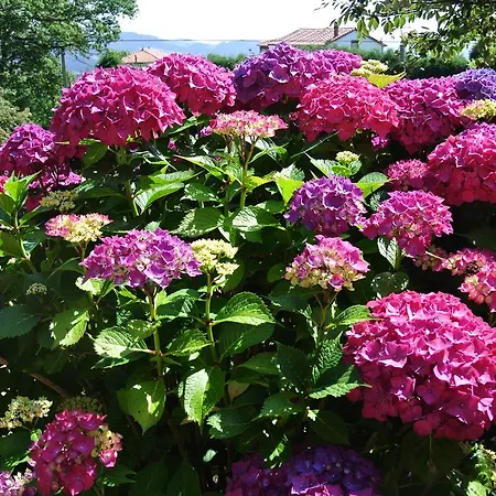 호텔 Rural El Algaire Arquera de Salas