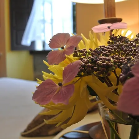 Rural El Algaire Hotel 2*