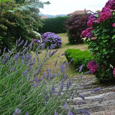 Rural El Algaire 호텔 Arquera de Salas