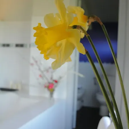 Rural El Algaire 호텔