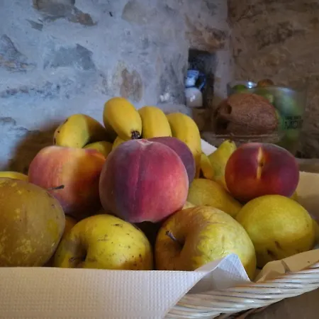فندق Rural El Algaire 2*