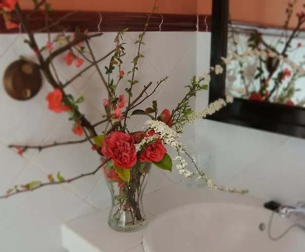 Rural El Algaire Hotel