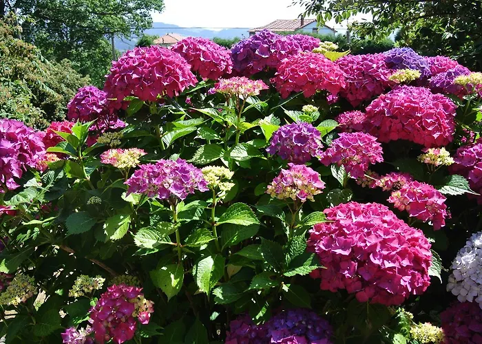 Hotel Rural El Algaire Arquera de Salas