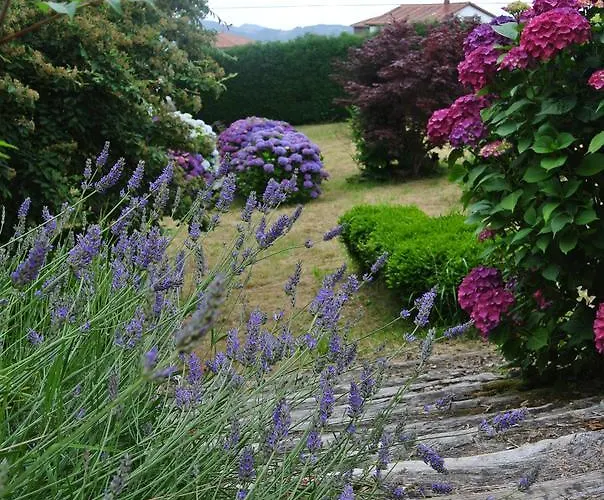Rural El Algaire Hotel Arquera de Salas
