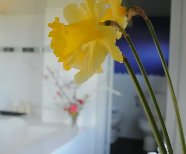 Rural El Algaire Hotel